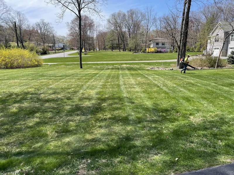 Freshly maintained residential lawn in Wappingers